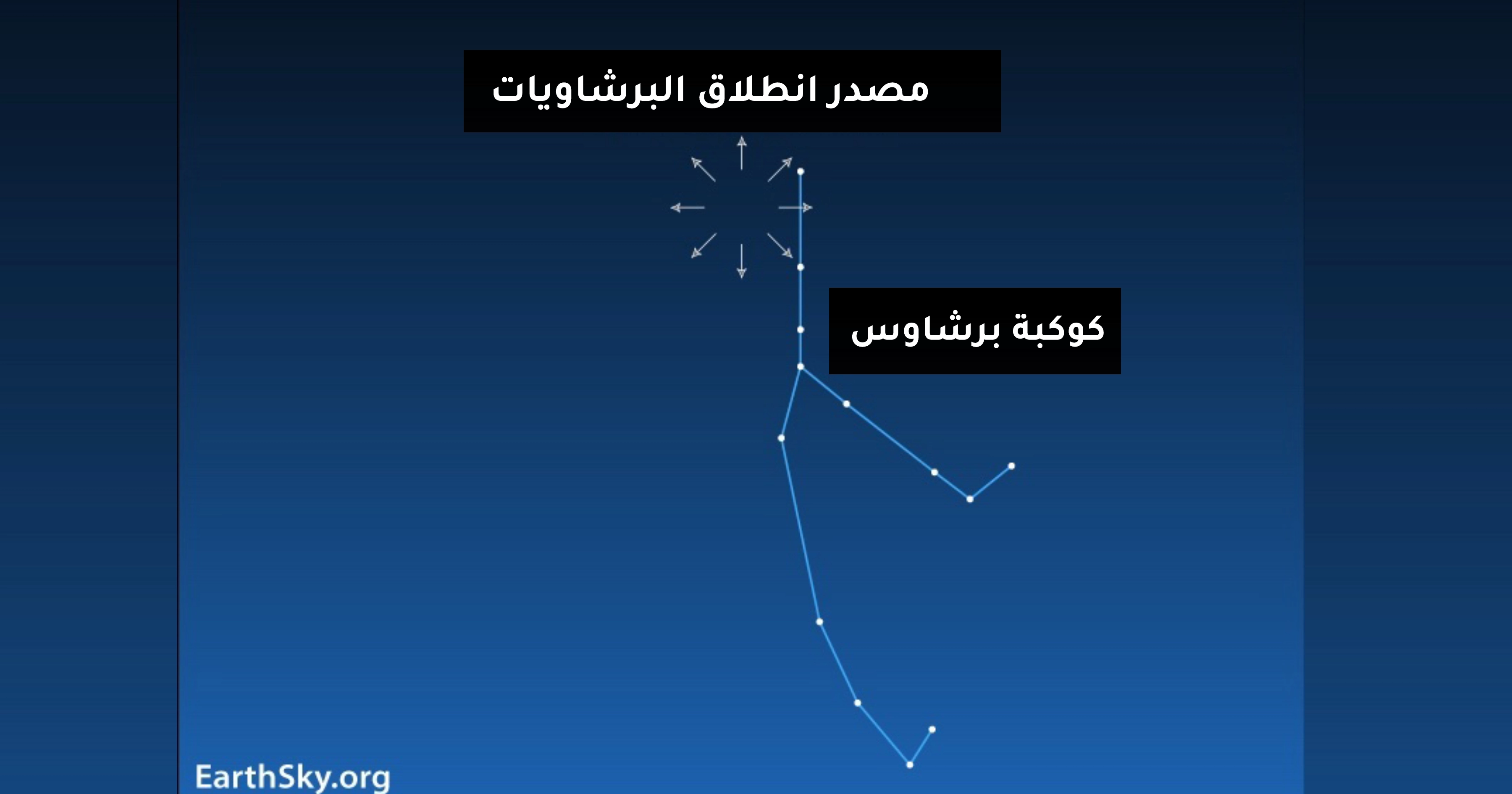 البرشاويات